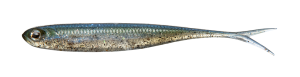Flash?J Split Abalone 3"Riservoir Shad/Abalone #AB03