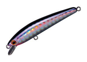 Panish 55F 28 HH Croggin