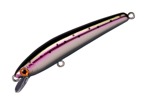Panish 70F 07 Rainbow trout