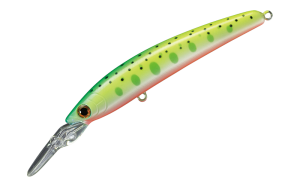 DD Panish 80F 23 Crazy Yamame