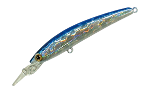 DD Panish 80F 30 LBL