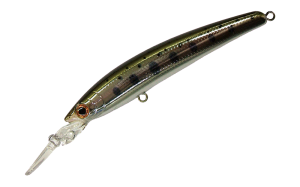 DD Panish 95F 37 GM Yamame