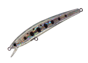 DD Panish Area 65F 13 MS silver trout