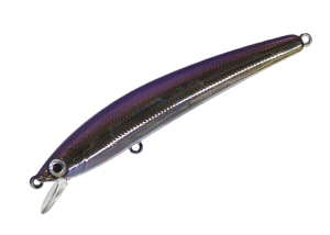 DD Panish Area 65F 18 Purple Back Holo