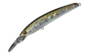 DD Panish 80S 43 Shell yamame trout