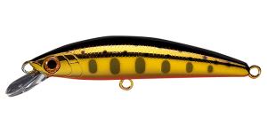 Troutin Wavy 65S 12 GYM