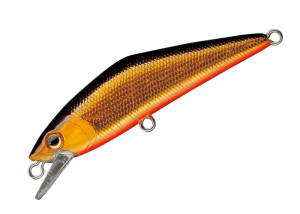 D-Contact 50 01 Kinkuro