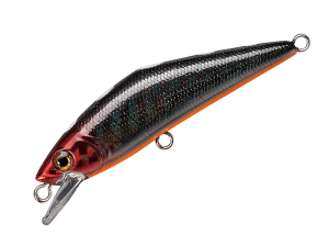 D-Contact 50 29 Cloaca