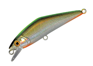 D-Contact 63 46 CH back TS laser