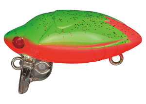 Camenusi 18 Kimirame