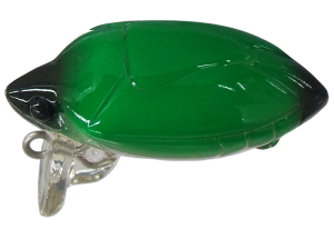 Camenusi 23  Ezo stink bug