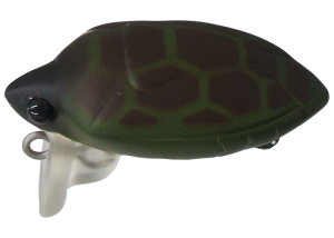 Camenusi 24 Turtle