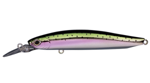Cherry Blood MD90F 07 Rainbow trout