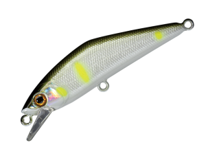 D-Contact 72 38 Ayu Pearl