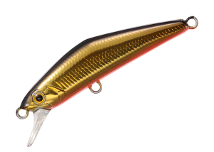 D-Compact 45 01 Kinkuro