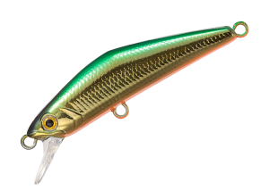 D-Compact 45 03 Green G