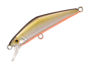 D-Compact 38 05 TS foil