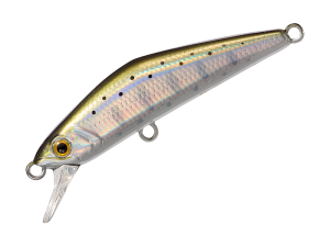 D-Compact 38 06 Yamame Laser