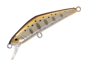 D-Compact 38 07 Yamame foil