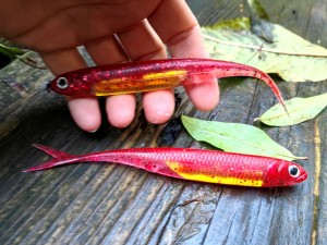 Jaskółka Flash-J Split SW 7" Red/Gold #116 