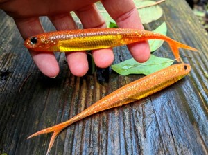 Flash-J Split SW 7" GLOW ORANGE/SILVER #119