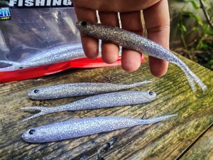 Anchovy Shad SPLIT 5" 402 SILVER