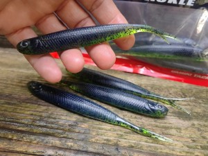 Anchovy Shad SPLIT 5" 304 WATERMELON BLACK