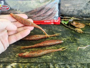 Armor Shad Split 5" 204 MOTOR OIL RED