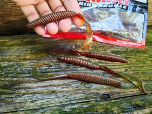 LEECHES TAIL 5" 204 MOTOR RED OIL