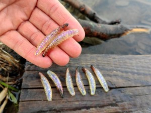 Larwa Salo  #R1 /8 szt. /45 мм - 1,7 gr./ zapach ser /  