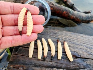 Larwa Salo  #115i  /8 szt. /45 мм - 1,7 gr./ zapach ser /  