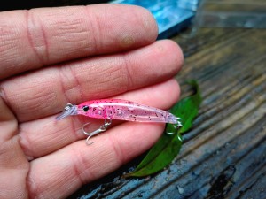 Wobler Forma Cute 40mm 2.1g  #05 AMI Made In Japan