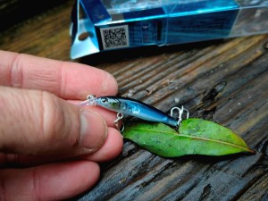 Wobler Forma Cute 40mm 2.1g  #02 CLEAR IWASHI Made in Japan