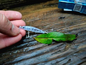 Wobler Forma Cute 40mm 2.1g  #03 SHIRASU Made in Japan