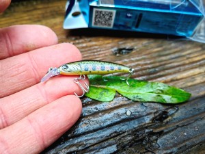 Wobler Forma Cute 40mm 2.1g  #09 JAPANESE TROUT Made in Japan