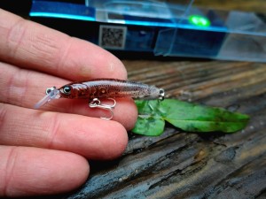 Wobler Forma Cute 40mm 2.1g  #07 SQUID Made in Japan