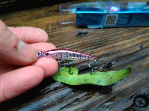 Wobler Forma Cute 40mm 2.1g  #06 SHRIMP Made in Japan