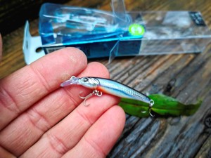 Wobler Forma Cute 40mm 2.1g  #04 KIBINAGO Made in Japan