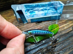 Wobler Forma Cute 40mm 2.1g  #01 JYAKO IWASHI Made in Japan