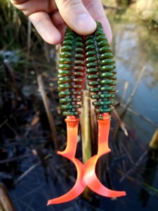 Twister Phantom 16 cm killer na Szczupaki   #231