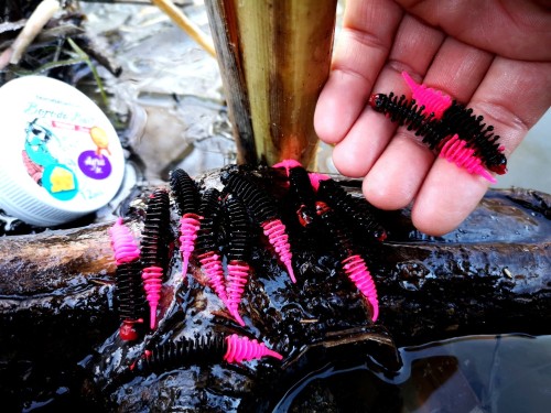 Kopiuj  z IMG_20201227_144801.jpg