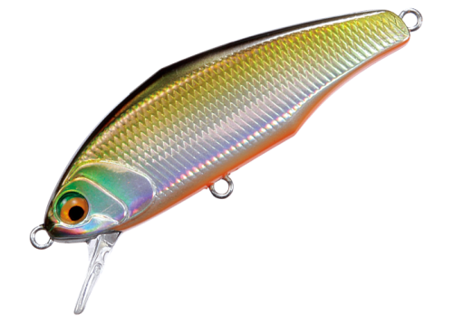 874646237932de850e303b8969315bc6