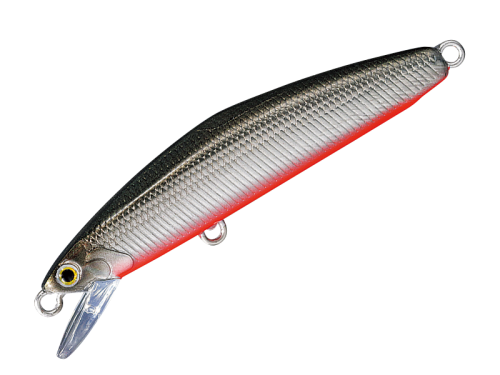 d0a1b776ac76f2914a1f1f7658bd50e6