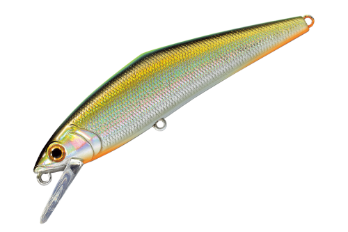 69ad59728a10887852d7162709b37429